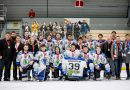 Andersen Liga: bajnok a Győr, ezüstérmes a Lehel HC